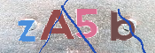 CAPTCHA (Şahıs Denetim Kodu) Resmi