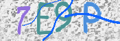 CAPTCHA (Şahıs Denetim Kodu) Resmi
