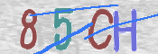 CAPTCHA (Şahıs Denetim Kodu) Resmi