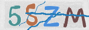 CAPTCHA (Şahıs Denetim Kodu) Resmi