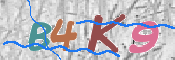 CAPTCHA (Şahıs Denetim Kodu) Resmi