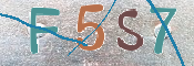 CAPTCHA (Şahıs Denetim Kodu) Resmi