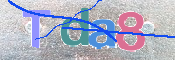 CAPTCHA (Şahıs Denetim Kodu) Resmi