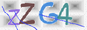 CAPTCHA (Şahıs Denetim Kodu) Resmi