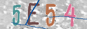 CAPTCHA (Şahıs Denetim Kodu) Resmi