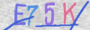 CAPTCHA (Şahıs Denetim Kodu) Resmi