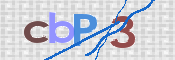 CAPTCHA (Şahıs Denetim Kodu) Resmi