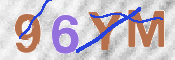 CAPTCHA (Şahıs Denetim Kodu) Resmi