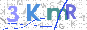 CAPTCHA (Şahıs Denetim Kodu) Resmi