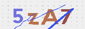 CAPTCHA (Şahıs Denetim Kodu) Resmi