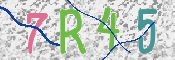 CAPTCHA (Şahıs Denetim Kodu) Resmi