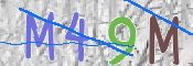 CAPTCHA (Şahıs Denetim Kodu) Resmi