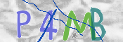 CAPTCHA (Şahıs Denetim Kodu) Resmi