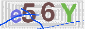 CAPTCHA (Şahıs Denetim Kodu) Resmi