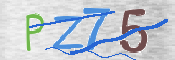 CAPTCHA (Şahıs Denetim Kodu) Resmi