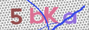 CAPTCHA (Şahıs Denetim Kodu) Resmi