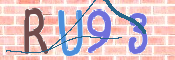 CAPTCHA (Şahıs Denetim Kodu) Resmi