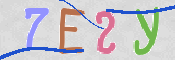 CAPTCHA (Şahıs Denetim Kodu) Resmi