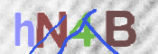 CAPTCHA (Şahıs Denetim Kodu) Resmi