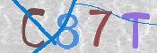 CAPTCHA (Şahıs Denetim Kodu) Resmi