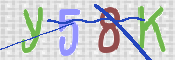 CAPTCHA (Şahıs Denetim Kodu) Resmi