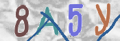 CAPTCHA (Şahıs Denetim Kodu) Resmi