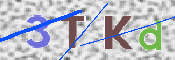 CAPTCHA (Şahıs Denetim Kodu) Resmi