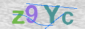 CAPTCHA (Şahıs Denetim Kodu) Resmi