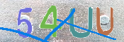 CAPTCHA (Şahıs Denetim Kodu) Resmi