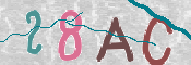 CAPTCHA (Şahıs Denetim Kodu) Resmi