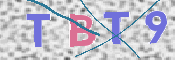 CAPTCHA (Şahıs Denetim Kodu) Resmi