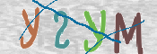 CAPTCHA (Şahıs Denetim Kodu) Resmi