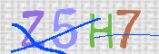 CAPTCHA (Şahıs Denetim Kodu) Resmi