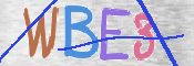 CAPTCHA (Şahıs Denetim Kodu) Resmi