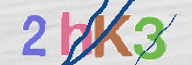 CAPTCHA (Şahıs Denetim Kodu) Resmi