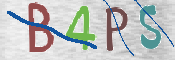 CAPTCHA (Şahıs Denetim Kodu) Resmi