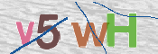 CAPTCHA (Şahıs Denetim Kodu) Resmi