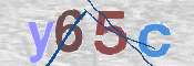 CAPTCHA (Şahıs Denetim Kodu) Resmi