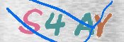 CAPTCHA (Şahıs Denetim Kodu) Resmi