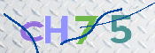 CAPTCHA (Şahıs Denetim Kodu) Resmi