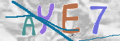 CAPTCHA (Şahıs Denetim Kodu) Resmi