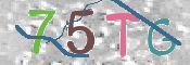 CAPTCHA (Şahıs Denetim Kodu) Resmi