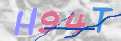 CAPTCHA (Şahıs Denetim Kodu) Resmi
