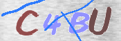 CAPTCHA (Şahıs Denetim Kodu) Resmi