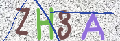 CAPTCHA (Şahıs Denetim Kodu) Resmi