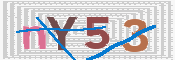 CAPTCHA (Şahıs Denetim Kodu) Resmi