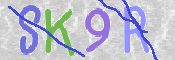 CAPTCHA (Şahıs Denetim Kodu) Resmi