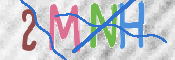CAPTCHA (Şahıs Denetim Kodu) Resmi