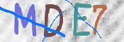 CAPTCHA (Şahıs Denetim Kodu) Resmi