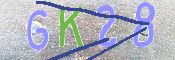 CAPTCHA (Şahıs Denetim Kodu) Resmi
